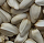 Trade Safflower Seeds