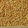ce-millet-yellow2