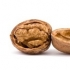 fo-walnut2