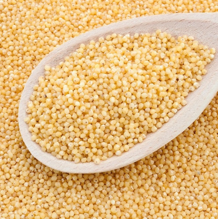 fo-millet-hulled-organic