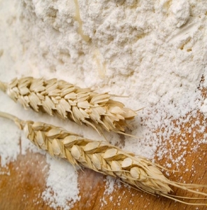 fo-flour-wheat2