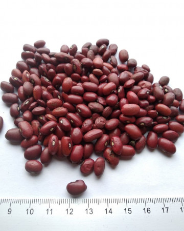 pu-small-red-beans