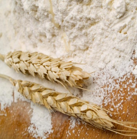 fo-flour-wheat2
