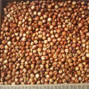 ce-sorghum-red