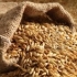 ce-barley2