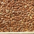 oi-flax-oil-brown2