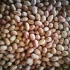 pu-beans